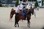 Devon-Saddlebreds-5-29-14-6591-DDeRosaPhoto