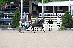 Devon-Saddlebreds-5-29-14-6601-DDeRosaPhoto