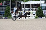 Devon-Saddlebreds-5-29-14-6602-DDeRosaPhoto