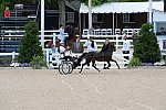 Devon-Saddlebreds-5-29-14-6603-DDeRosaPhoto