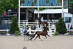 Devon-Saddlebreds-5-29-14-6604-DDeRosaPhoto