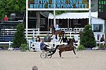 Devon-Saddlebreds-5-29-14-6605-DDeRosaPhoto