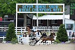 Devon-Saddlebreds-5-29-14-6606-DDeRosaPhoto