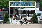 Devon-Saddlebreds-5-29-14-6607-DDeRosaPhoto