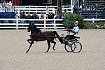 Devon-Saddlebreds-5-29-14-6611-DDeRosaPhoto