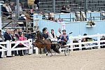 Devon-Saddlebreds-5-29-14-6622-DDeRosaPhoto