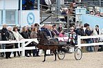 Devon-Saddlebreds-5-29-14-6628-DDeRosaPhoto