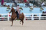 Devon-Saddlebreds-5-29-14-6638-DDeRosaPhoto