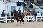 Devon-Saddlebreds-5-29-14-6646-DDeRosaPhoto