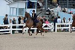 Devon-Saddlebreds-5-29-14-6648-DDeRosaPhoto