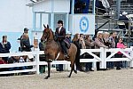 Devon-Saddlebreds-5-29-14-6653-DDeRosaPhoto