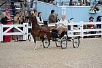 Devon-Saddlebreds-5-29-14-6855-DDeRosaPhoto