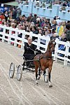 Devon-Saddlebreds-5-29-14-6866-DDeRosaPhoto