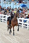 Devon-Saddlebreds-5-29-14-6903-DDeRosaPhoto