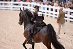 Devon-Saddlebreds-5-29-14-6908-CompletelyCaveat-JanLukensr-DDeRosaPhoto