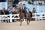 Devon-Saddlebreds-5-29-14-6915-DDeRosaPhoto