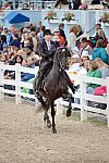 Devon-Saddlebreds-5-29-14-6957-DDeRosaPhoto