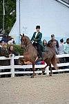 Devon-Saddlebreds-5-29-14-6977-DDeRosaPhoto