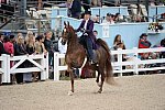 Devon-Saddlebreds-5-29-14-6980-KentuckyProud-CeilWheeler-DDeRosaPhoto