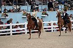 Devon-Saddlebreds-5-29-14-6981-DDeRosaPhoto