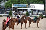 Devon-Saddlebreds-5-29-14-7006-DDeRosaPhoto
