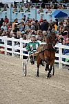 Devon-Saddlebreds-5-29-14-7015-DDeRosaPhoto