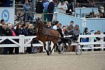 Devon-Saddlebreds-5-29-14-7040-MrsBones-CharlesJones-DDeRosaPhoto