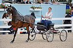 Devon-Saddlebreds-5-29-14-7053-DDeRosaPhoto