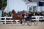 Devon-Saddlebreds-5-29-14-7055-DDeRosaPhoto