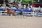 Devon-Saddlebreds-5-29-14-7059-RobertBrickell-JeromySmith-DDeRosaPhoto