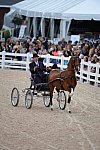 Devon-Saddlebreds-5-29-14-7073-DDeRosaPhoto