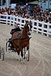 Devon-Saddlebreds-5-29-14-7076-RobertBrickell-JeromySmith-DDeRosaPhoto