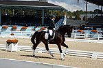 Dressage-at-Devon-9-27-13-4662-DDeRosaPhoto