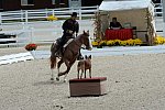 Dressage-at-Devon-9-27-13-4669-DDeRosaPhoto