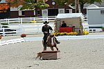 Dressage-at-Devon-9-27-13-4671-DDeRosaPhoto