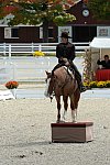 Dressage-at-Devon-9-27-13-4673-DDeRosaPhoto