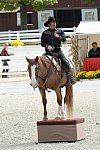 Dressage-at-Devon-9-27-13-4674-DDeRosaPhoto