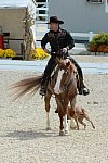 Dressage-at-Devon-9-27-13-4676-DDeRosaPhoto