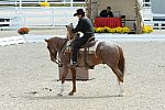 Dressage-at-Devon-9-27-13-4678-DDeRosaPhoto