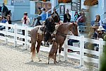 Dressage-at-Devon-9-27-13-4689-DDeRosaPhoto