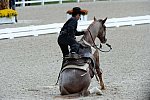 Dressage-at-Devon-9-27-13-4697-DDeRosaPhoto