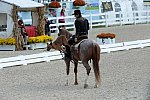 Dressage-at-Devon-9-27-13-4700-DDeRosaPhoto