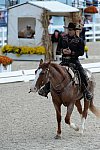 Dressage-at-Devon-9-27-13-4701-DDeRosaPhoto