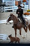 Dressage-at-Devon-9-27-13-4702-DDeRosaPhoto