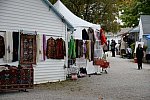 Dressage-at-Devon-9-27-13-4720-DDeRosaPhoto