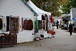 Dressage-at-Devon-9-27-13-4720-DDeRosaPhoto