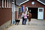 Dressage-at-Devon-9-27-13-4735-DDeRosaPhoto