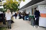 Dressage-at-Devon-9-27-13-4753-DDeRosaPhoto