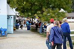 Dressage-at-Devon-9-27-13-4758-DDeRosaPhoto