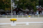 Dressage-at-Devon-9-27-13-4762-DDeRosaPhoto